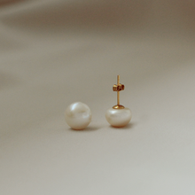 Load image into Gallery viewer, Splendore Pearl Gold-filled Studs
