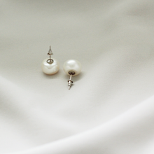 Load image into Gallery viewer, Splendore Pearl Silver Studs
